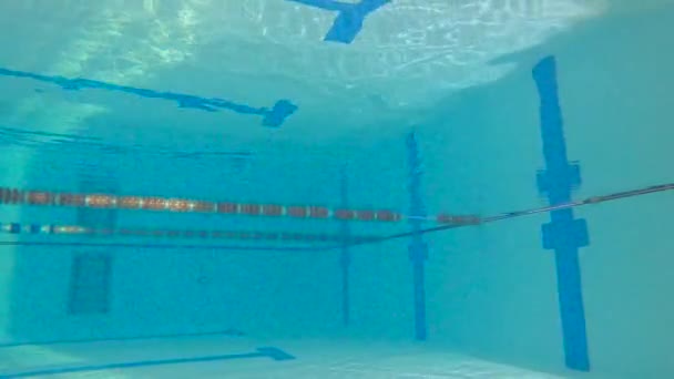 Woman Athlete Swims Underwater Pool Sports Training Diving Pool — Wideo stockowe