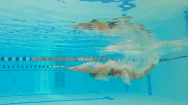 プールでのスイミングワークアウトの水中ショット プールの中で泳いでいる女性 — ストック動画
