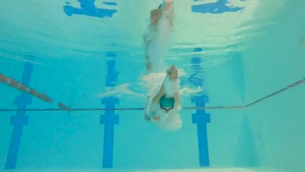Two Women Swimmer Pool Sports Competition Underwater Image People Floating — стоковое видео