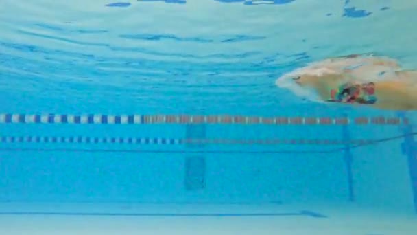 Sportowiec Pływa Pod Wodą Basenie Spowolnienie Ruchu Żeńskiego Pływaka Basenie — Wideo stockowe