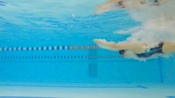 Жінка Спортсмен Плаває Під Водою Басейні Повільний Рух Жіночого Плавця — стокове відео