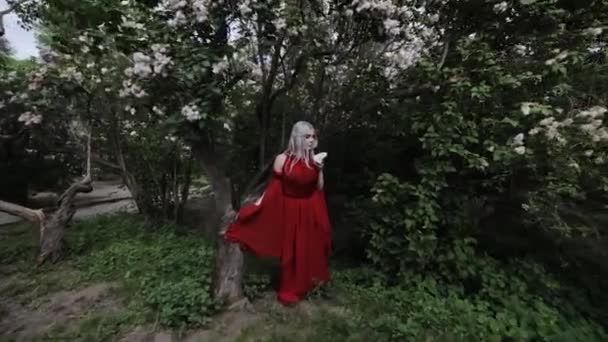 Wróżka Elf Dziewczyna Czerwonej Sukience Lesie Jej Rękach Trzyma Magiczny — Wideo stockowe