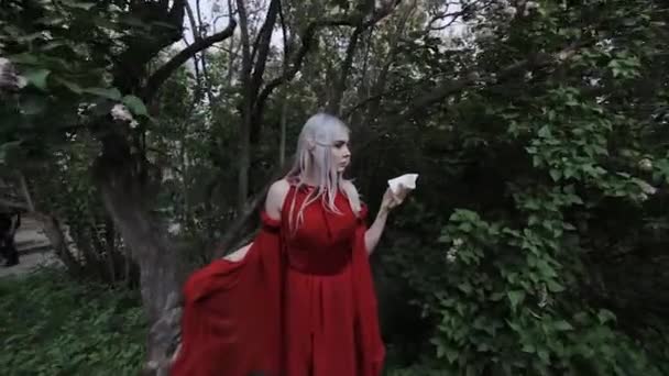 Elfí Dívka Červených Šatech Lese Svých Rukou Drží Kouzelnou Bílou — Stock video