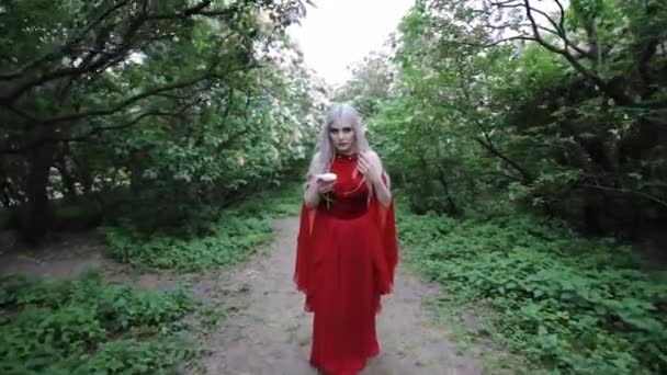 Ormanda Kırmızı Elbiseli Peri Elf Kızı Elinde Sihirli Beyaz Bir — Stok video