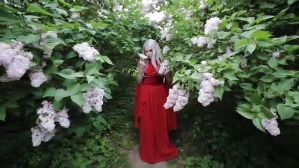 Fantastická Elfka Červených Šatech Pohádkovém Lese — Stock video