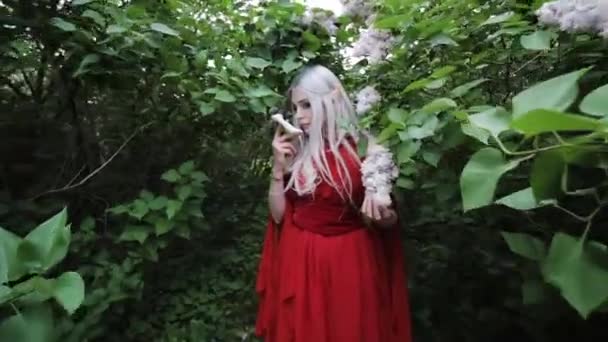 Elfo Feminino Misterioso Enigmático Vestido Vermelho Suas Mãos Estão Segurando — Vídeo de Stock