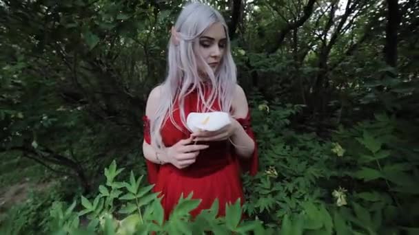 Záhadná Záhadná Elfka Červených Šatech Její Ruce Drží Bílou Kytku — Stock video