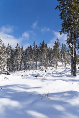 Dağların yükseklerinde kış manzarası. Dağlarda kar