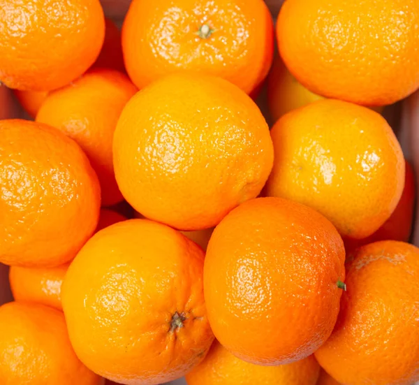 Mandarinen Aus Frischen Früchten Großaufnahme Bio Früchte Aus Dem Garten — Stockfoto