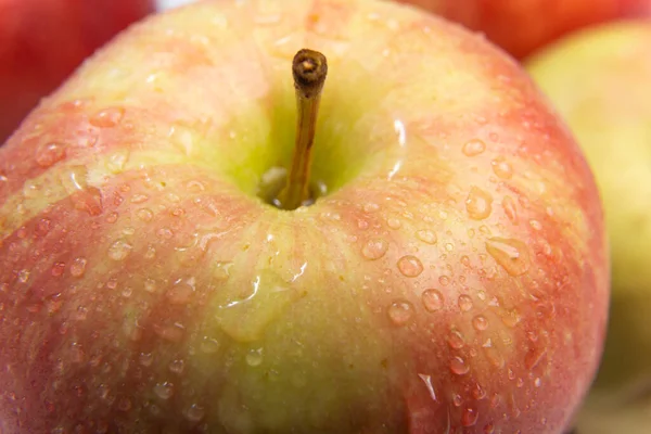 Färskt Ekologiskt Äpple Fotograferat Närbild — Stockfoto