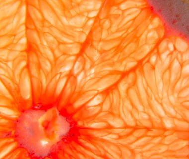 Greyfurt yakın plan. Greyfurt meyvesinin yatay makro fotoğrafı