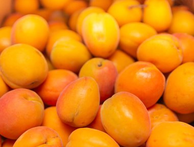 Olgun meyve kayısıları yakın plan. Kayısı arkaplanı. Doğadan taze yiyecek.