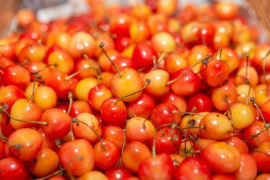 Yakın plan sarı kirazlar. Taze ve taze yiyecekler, olgun meyveler...