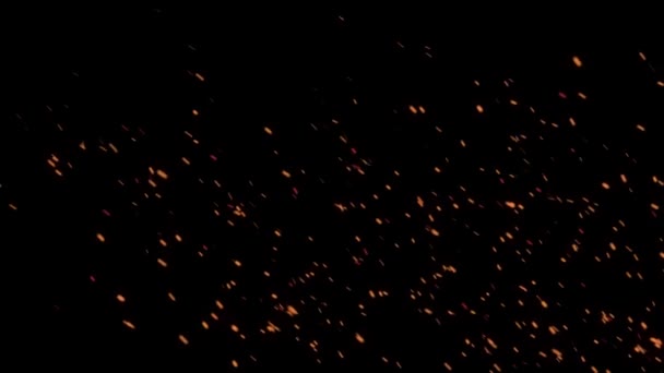 Brillant Brome Volant Brûlant Des Particules Cendres Des Étincelles Chaudes — Video
