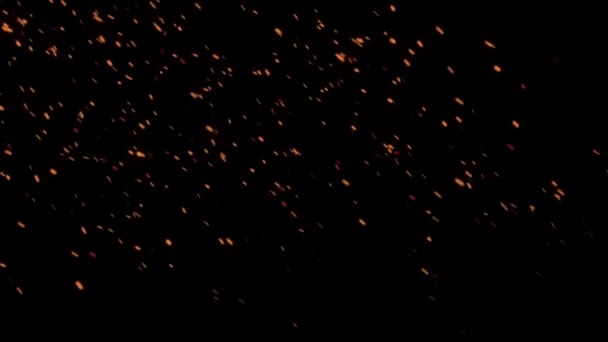 燃烧的火焰 燃烧的灰烬颗粒 炽热的火苗被隔绝了 4K从火焰中喷出的煤块动画 — 图库视频影像