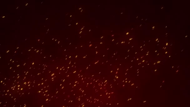 Brillant Brome Volant Brûlant Des Particules Cendres Étincelles Feu Chaud — Video
