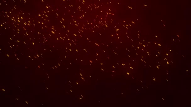 Brillant Brome Volant Brûlant Des Particules Cendres Étincelles Feu Chaud — Video