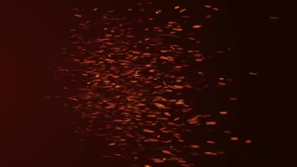 燃烧的火焰 燃烧的灰烬颗粒 炽热的火苗带有透明的 4K从火焰中喷出的煤块动画 — 图库视频影像