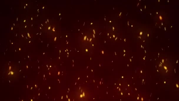 翼を広げ灰の粒子を燃焼させる 熱い炎は透明なアルファチャンネルで火花を散らします 炎から飛ぶ石炭の4Kアニメーション — ストック動画
