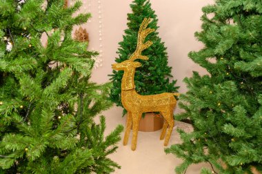 Noel ve Yeni Yıl tatilinde stüdyoda geyik ve Noel ağaçları var. Stüdyoda dekor.