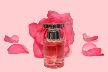 Pembe gül ve pembe arka planda parfüm şişesi. Kadınlar için kozmetik.