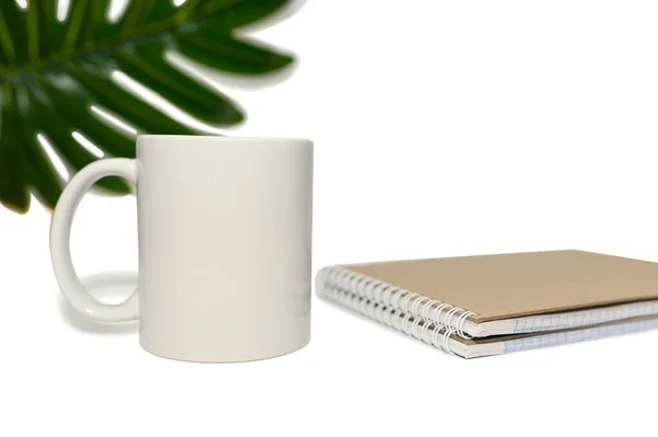White Mug Notepad Palm Leaf Background White Background Concept Learning — Stock Photo, Image