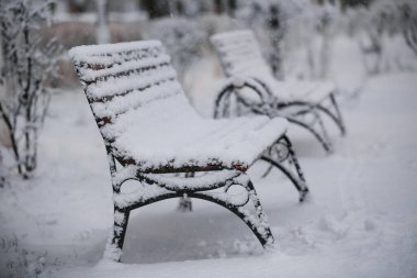 Yakın plan kardaki bank.