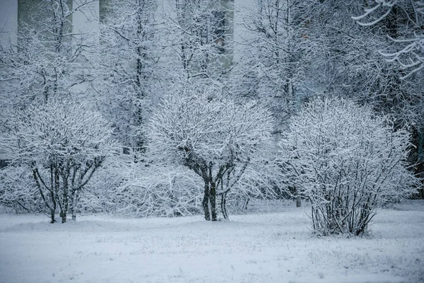 街の風景雪の天気冬の街 — ストック写真
