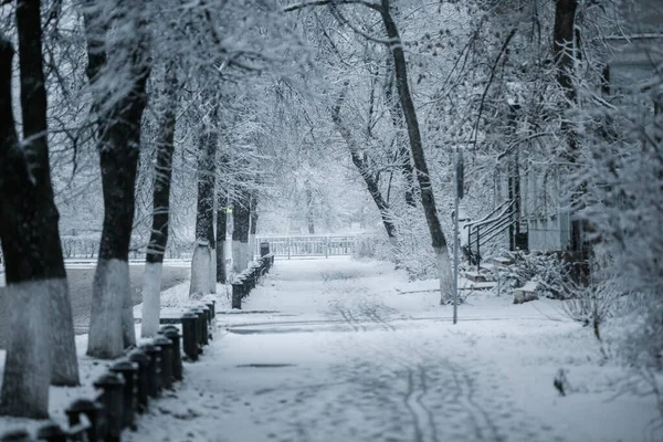 Widok Miasto Śnieżna Pogoda Zimowe Uliczki Miasta — Zdjęcie stockowe