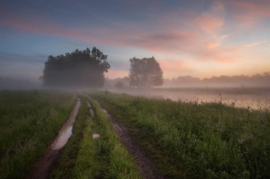 Güzel bahar manzarası, fotoğraf manzarası, doğal manzara.