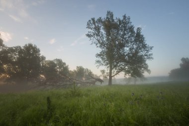 Güzel bahar manzarası, fotoğraf manzarası, doğal manzara.