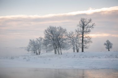 winter landscape, frozen trees, snowy view, beautiful winter