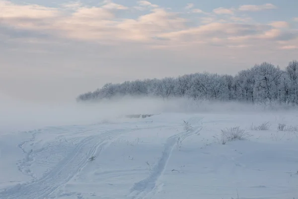 Winter Landscape Frozen Trees Snowy View Beautiful Winter — стоковое фото