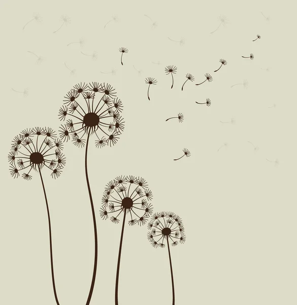 Dandelions. Vector — Stock Vector