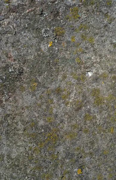 Faktura Kamienia Gruntowna Przeszłość Abstrakcyjna Teksturowana Tapeta Ścienna — Zdjęcie stockowe