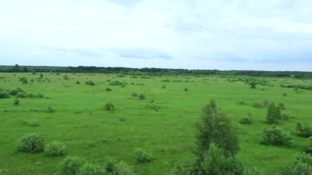 Aviones mal aterrizaje pov, movimiento tembloroso — Vídeo de stock