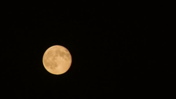 Luna llena saliendo Time-lapse — Vídeo de stock