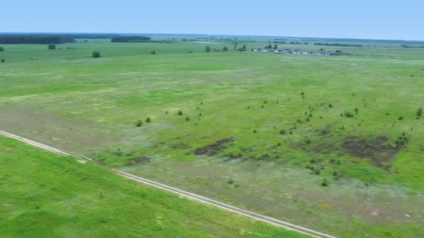 Вид сусідства, літаючи над передмістям pov з повітряної кулі — стокове відео