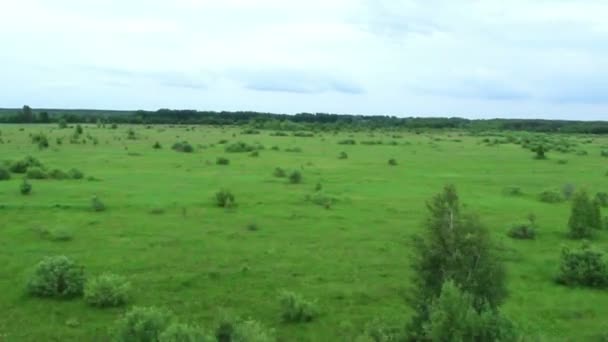 Aéronef atterrissage rapide pov, mouvement en douceur — Video