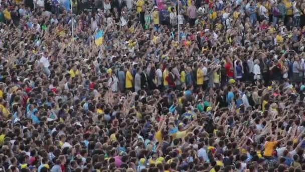 Crowd of soccer fans raising hands — Stock Video