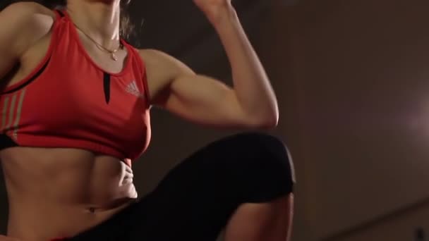 Weibchen im Fitnessstudio — Stockvideo