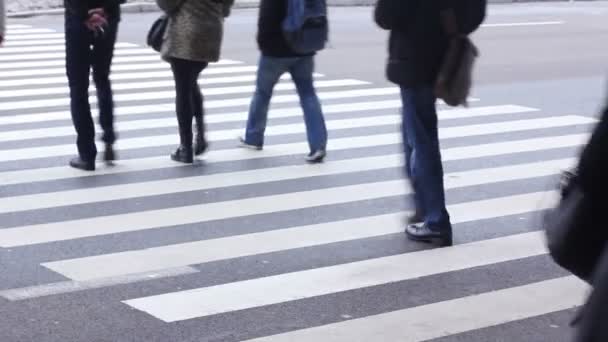 Menschen am Zebrastreifen — Stockvideo