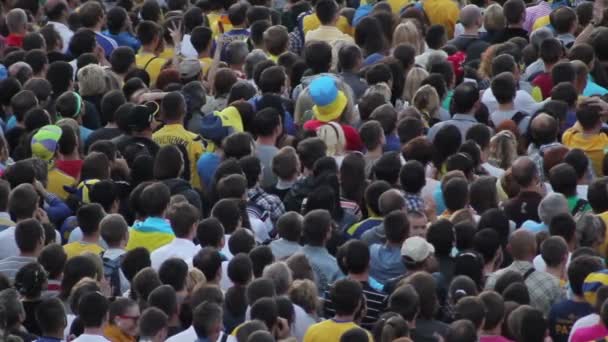 Crowd of soccer fans — Stock Video