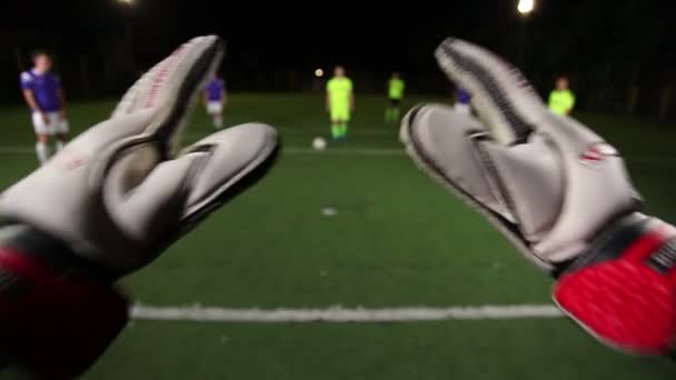 Goalkeeper POV of penalty kick — Stock Video