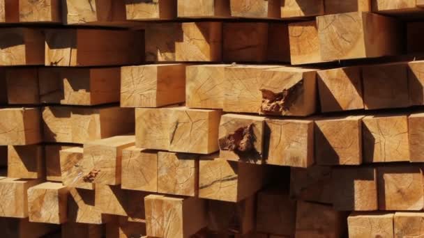 Fichas de madeira empilhadas na construção — Vídeo de Stock