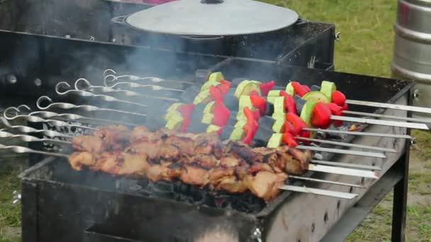 Produtos hortícolas de churrasco kebab ao ar livre — Vídeo de Stock