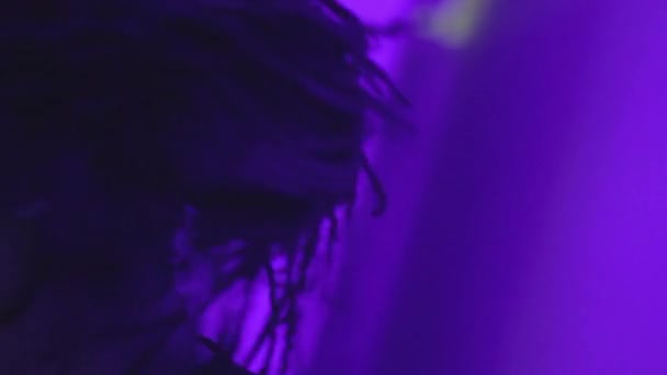 Craintes drôles de cheveux de DJ se déplaçant au rythme de la musique 