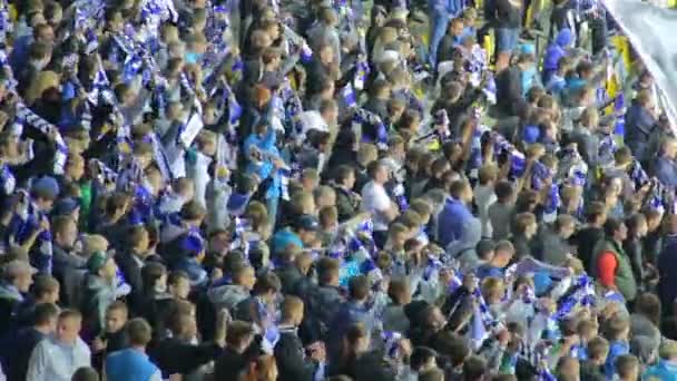 Les supporters de football lèvent des foulards d'équipe — Video