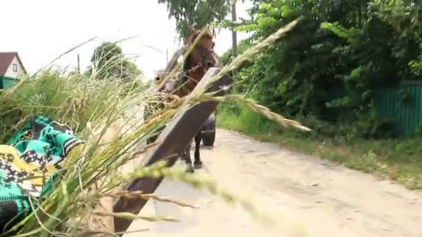 Koně vozíky přenášení trávy a lidé — Stock video