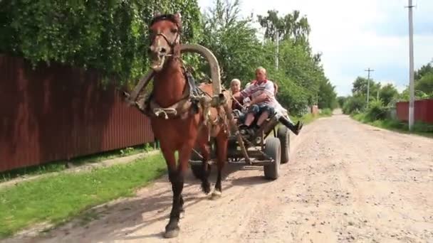 Familie rijdt op paard kar — Stockvideo